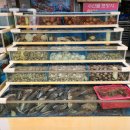 쉼이있는자유 이미지