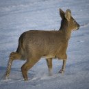 약속의 땅 이미지