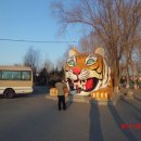 빙등제 하얼빈 동북호림원 이미지