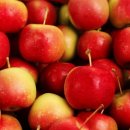 원애농장 이미지