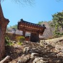 화개초교 | 21. 지리산에서 깨치고 금강산에서 보임하며 묘향산에서 제자를 길렀다 - 서산대사 2편