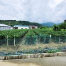 와촌IC공인중개사사무소 이미지