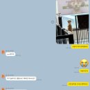휘게 펫케어 이미지