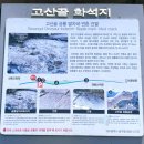 공룡공원 이미지