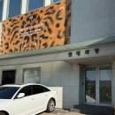 전통민화 | 장엄과 창의: 한국 민화의 변주 | 삼청동 현대화랑 전시 후기