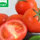 토마토몰