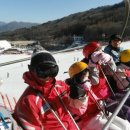 대마초등학교 이미지