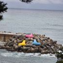 천곡방파제 이미지