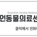 가디언 동물의료센터 이미지