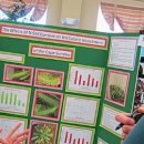 사임당로20길 12 이미지