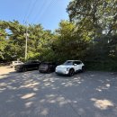 방죽포해수욕장(송림) 이미지