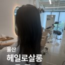 프로헤어샵 - 성남시 수정구 헌릉로 1005 | 울산 상안동 헤어샵 추천 헤일로살롱 레이어드컷 후기