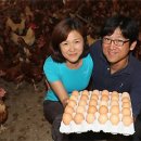 태안양계장 이미지