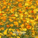 황화농장 이미지
