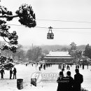 평권농장 이미지