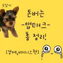 📱 2025 돈 버는 앱 BEST 총정리앱테크로 하루 10분, 월 3~5만 원 수익 가능할까? 실사용 후기 대공개!
