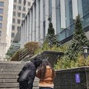 프리사이즈의 세계는 냉정해