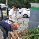 텃밭협동조합 이미지