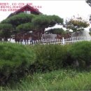 성상1리마을회관 이미지