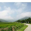 한국의 걷고 싶은 길 석교계곡길 이미지