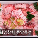 화양참치 - 서구 풍암운리로 16 | 화양참치