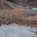 여주-1054 이미지