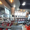 파워라인댄스 이미지