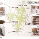 거제도에는 언제부터 사람이 살았을까?... 1만 년 전 신석기시대? 이미지