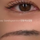 연데이뷰티