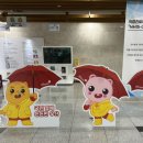 라인댄스(강좌번호 : 16) | 2026 국민건강보험공단 청년인턴 최합 후기(+ 서류합격 스펙, 건보 인턴 면접 후기)