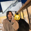 [내돈내산] 삼덕동 카페 티미드 후기, 커피보다는 차 어때