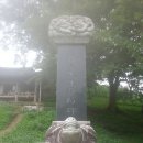 산야초 사랑방 | ※오늘 여행 후기 전국 최고의 백일홍