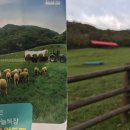 서울목장 이미지