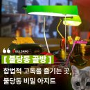 조용히 음악에 취하는 혼술 스팟! 대화금지라 더 특별한 불당동골방 혼술 감성 가득한 이색데이트 코스