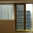 현대파리지앙 이미지