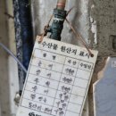 북마산중앙시장 이미지