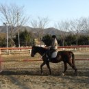 통도승마랜드 이미지