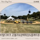 우천목장 | 홍천 비발디파크 아기랑 곤돌라 &amp; 양떼목장 후기 | 유모차 먹이주기 플레이존