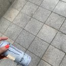 주호농장 | 5.6월 모아모아