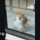 두루밍 이미지