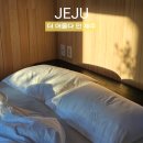 편백스테이 | 제주독채숙소 감성스테이하기 좋은 편백향 더머물다 인 제주