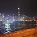 루나트립 이미지