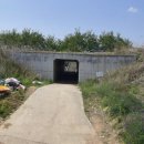 금호강변 | 벚꽃 개화를 맞아 금호강변 / 강정보 4km 러닝