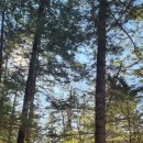 고향목장 이미지