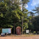 깍쇠 | 🌲 제주 치유의 숲 — 자연 속에서 완전히 쉬고 싶은 날, 최고의 힐링 코스