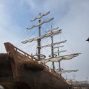 서천-20 | " 2026 서천 동백꽃 주꾸미 축제 " 방문 후기 (축제장 분위기, 인파, 동백꽃 개화율)