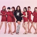 신인을 주목하라 스포츠동아
