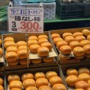 다솔커뮤니케이션 | 도쿄에서 가을의 구독레터를 준비하며