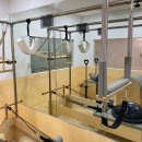 테라피 요가 & 매트 필라테스 이미지