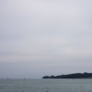 오동도유람선 이미지